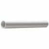 NICOLL TUBE PVC BLC 50 LONG 2M /7 - Besoin D'Habitat
